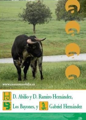 PORTADA LOS BAYONES
